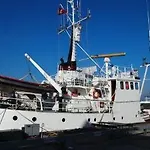 Arctic Janus 2*