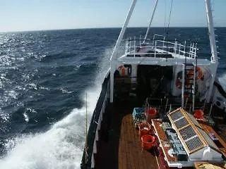Arctic Janus 2* קופנהגן