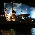 Arctic Janus コペンハーゲン
