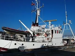 Arctic Janus 2*